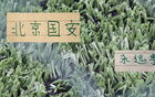 带领球队14场不败后 蒙哥马利是近几年最适合北京国安主帅吗 带领球队14场不败后 蒙哥马利是近几年最适合北京国安主帅吗